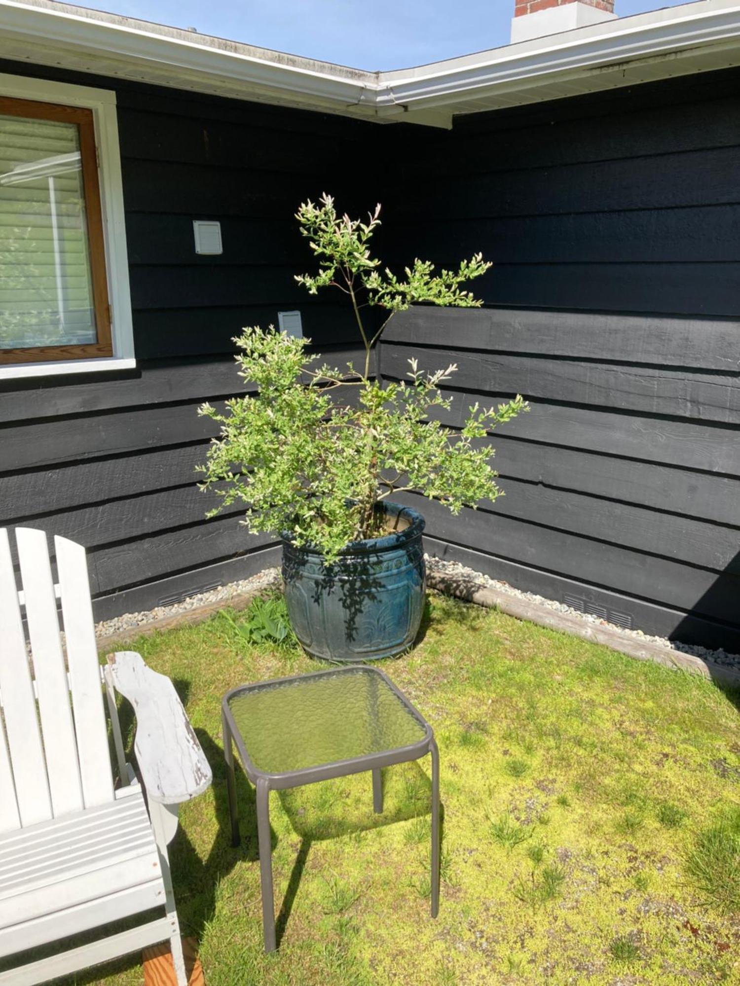 Rent My Studio Powell River Exterior photo